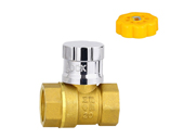 ��ͭ216���շ�